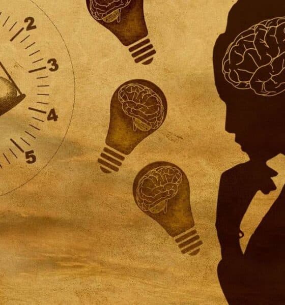 mozek, mindset