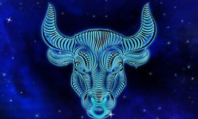 horoskop pro býka