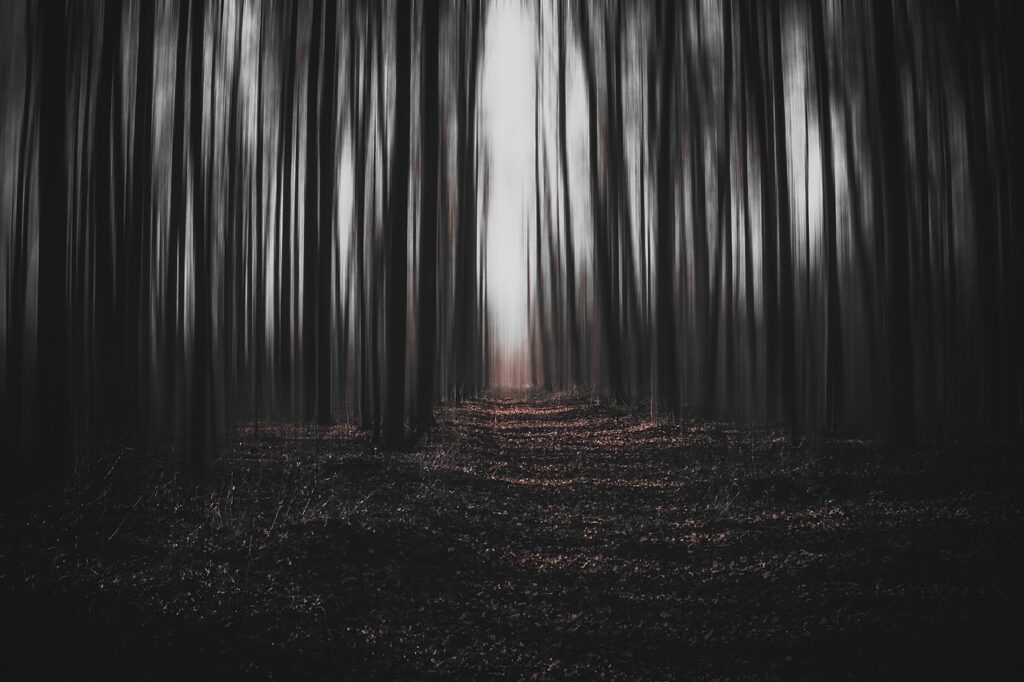 Aokigahara, les