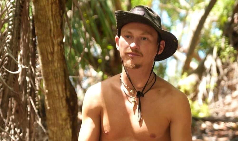 mikýř, survivor