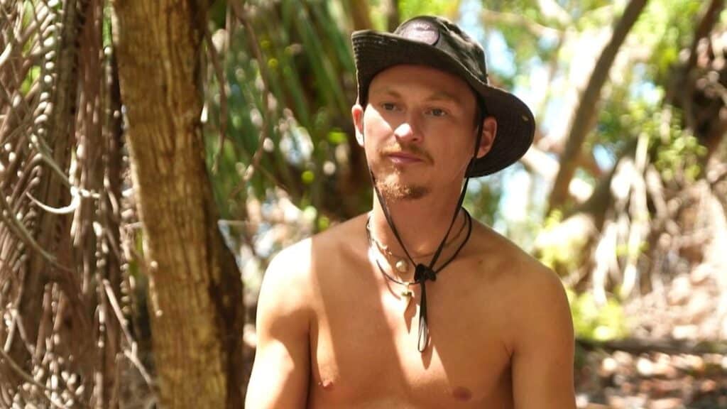 mikýř, survivor