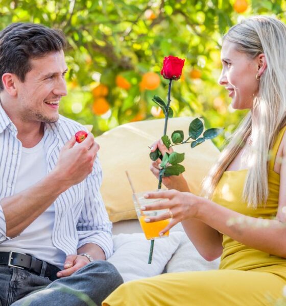 Bachelor