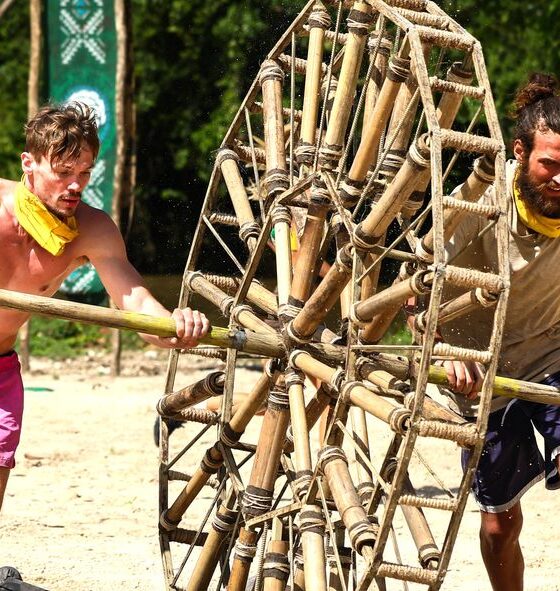 Josef Kořínek, Pepa, David Chmátal, Survivor