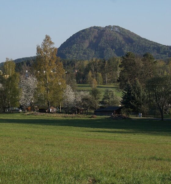 Ortel