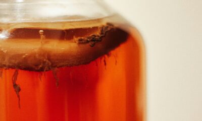 kombucha