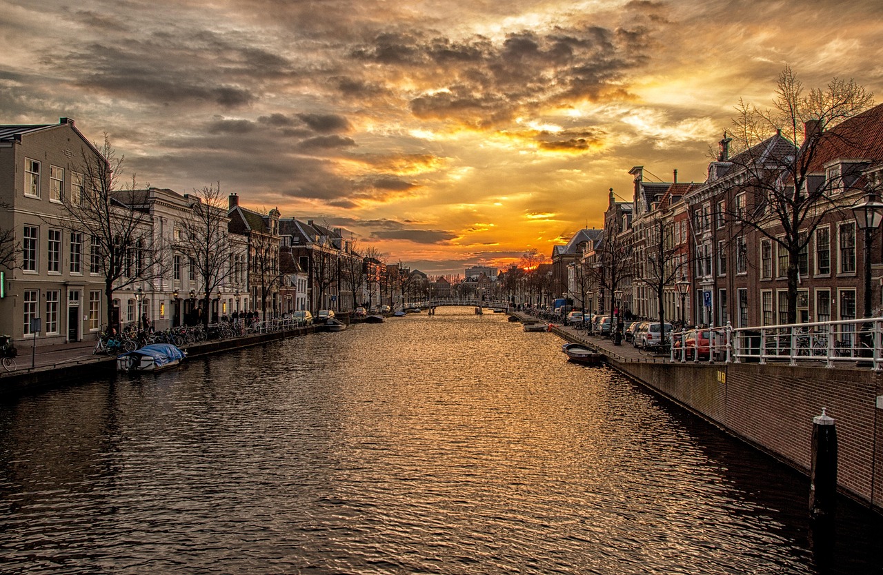 Quiz Featured Image